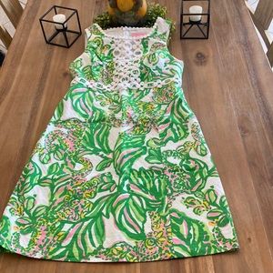 Picture perfect Lilly dress